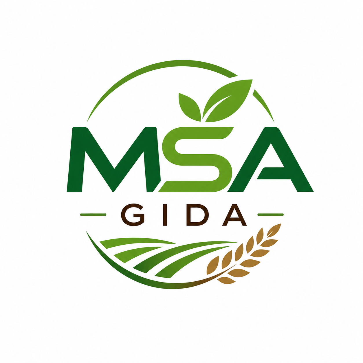 MSA Gıda